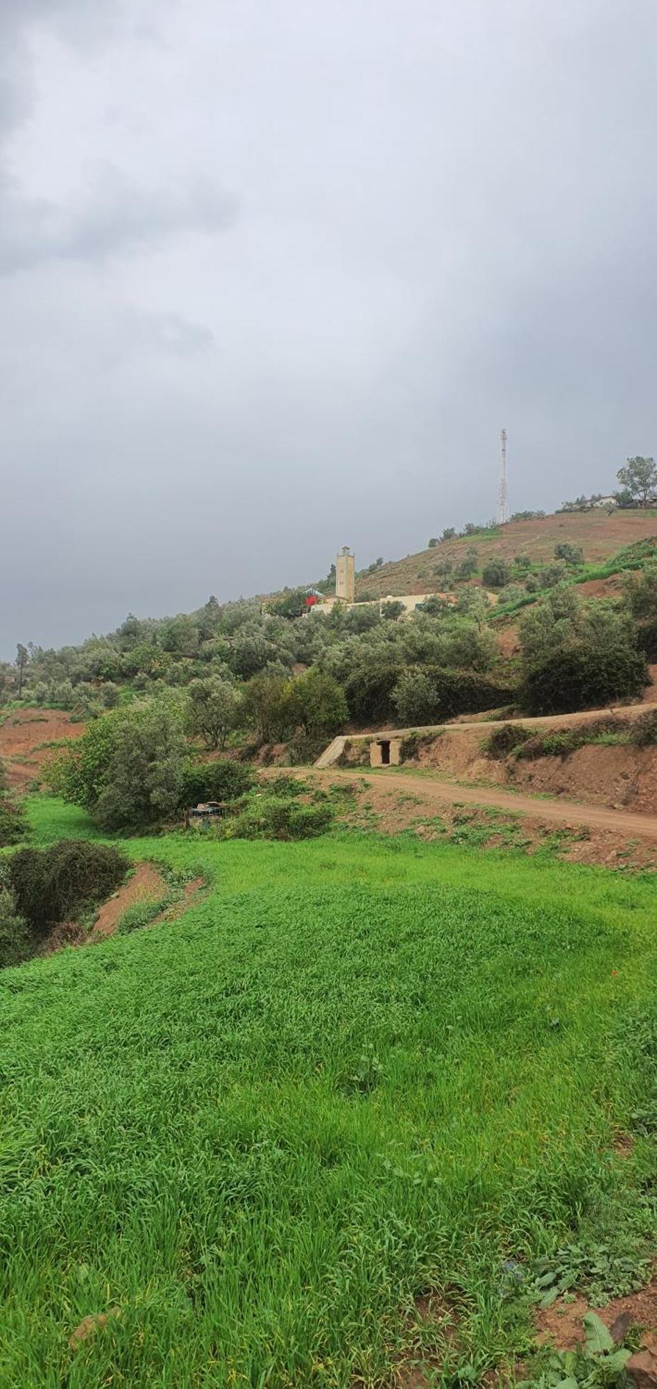 دار الضيافة تازكة Maison D'Hotes Tazekka Taza Exterior foto